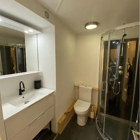 Studioc Hyper-centre Climatise 公寓 阿尔比