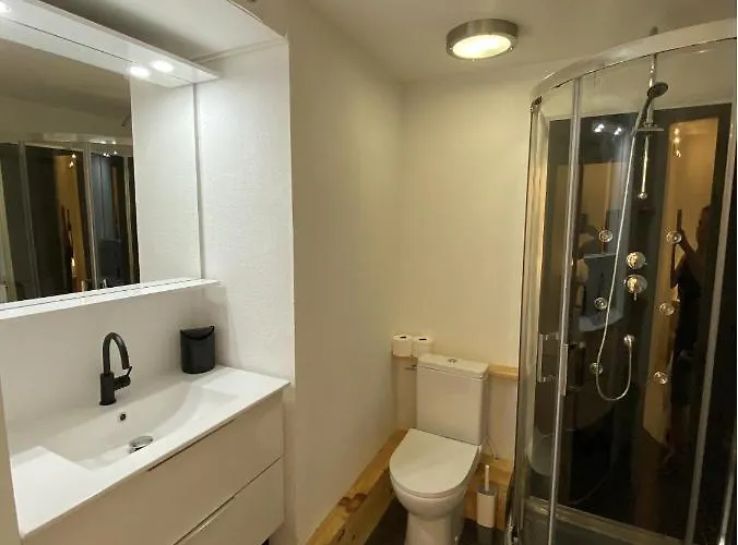 Studioc Hyper-centre Climatisé Appartement Albi